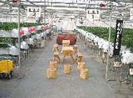 バリアフリーで車いすもOK